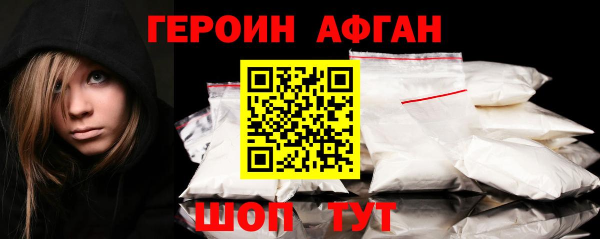 ГЕРОИН хмурый Балтийск