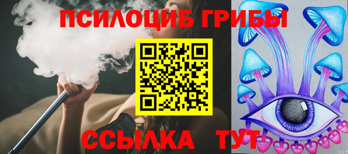 Псилоцибиновые грибы Magic Shrooms Балтийск