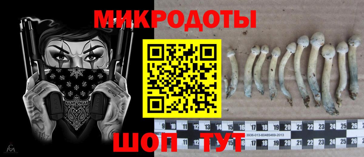 Псилоцибиновые грибы Cubensis  купить наркотик  Балтийск 